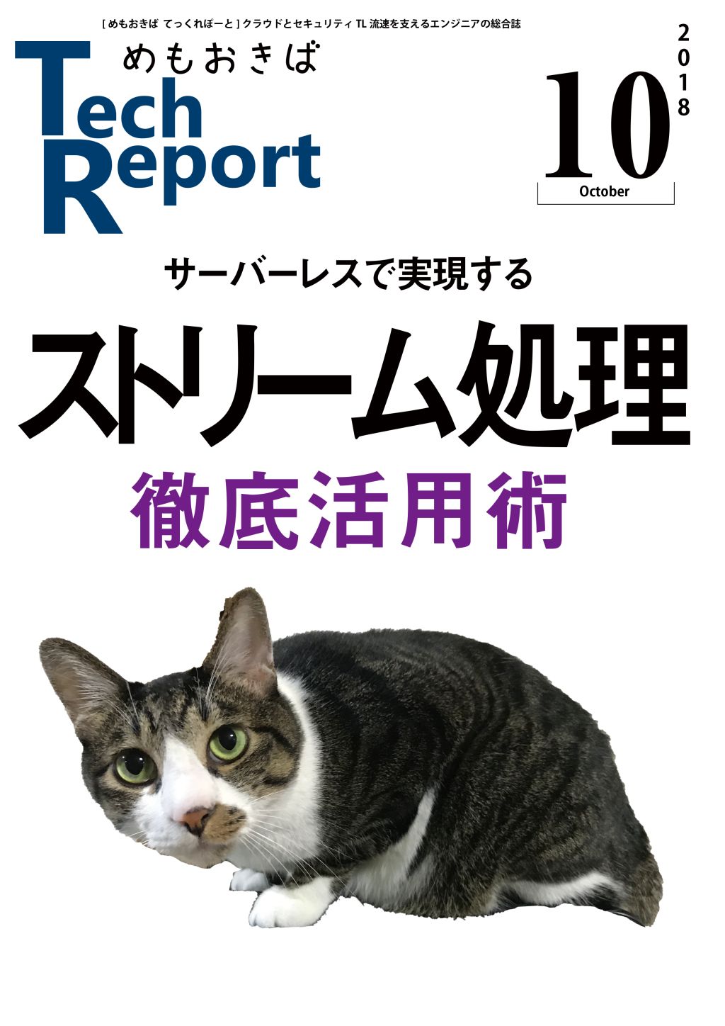 Cover image for TechReport 2018.10